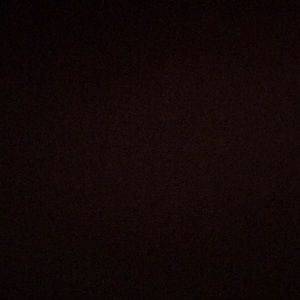 Meet your Posher, Natasha